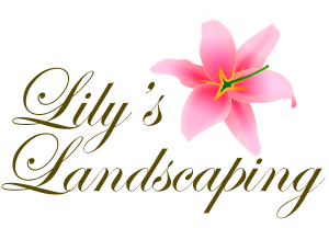 Logo Lilys